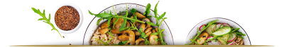 VEGAN / VEGETARIAN